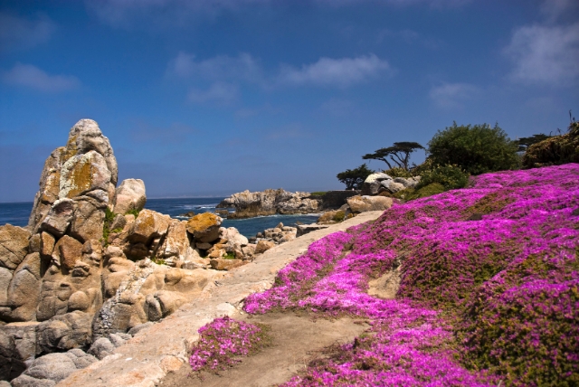 pacific grove west coast