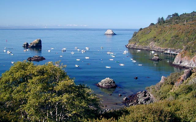 trinidad ca west coast